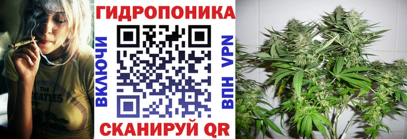 Виды наркоты Короча Cocaine  Амфетамин  ГАШ  Бошки Шишки  Меф  A PVP 