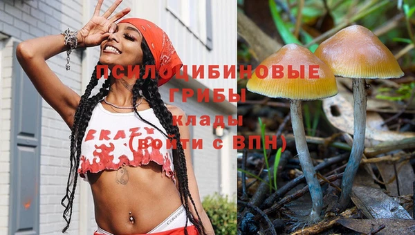 метамфетамин Ельня