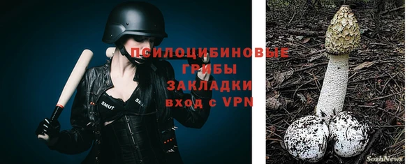 метамфетамин Ельня